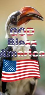 Toucan with American flag overlay and 'God Bless America' text.