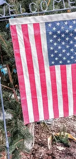 US flag with welcome sign and trees.