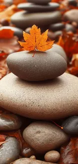 Stack of stones with an orange autumn leaf on top.