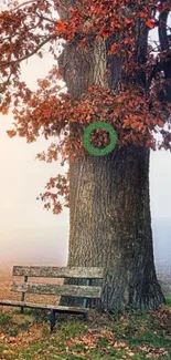 Autumn tree, bench, and misty landscape in peaceful setting.