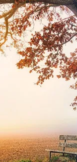 Peaceful autumn tree scene with a bench.