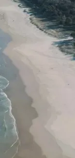 Aerial view of a peaceful beach with surf and forest.