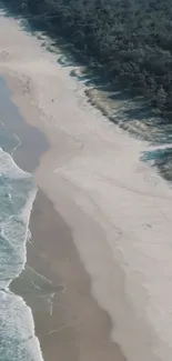 Aerial view of a tranquil beach with blue ocean waves and lush green forest.