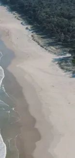 Aerial view of a serene beach with golden sands and gentle ocean waves.