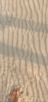 Footprints on sandy beach with sunlight pattern.