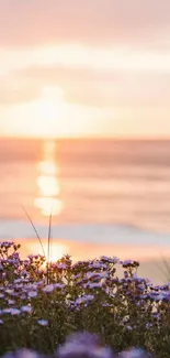 Tranquil beach sunset with purple flowers in the foreground.