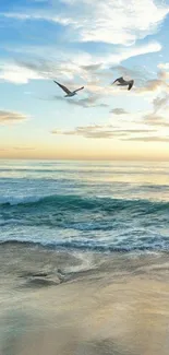 Peaceful beach with sunset and flying birds.