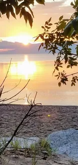 Beach sunset with golden sky and calm waters.