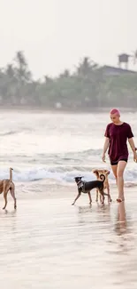 Person and dogs walking on a tranquil beach.