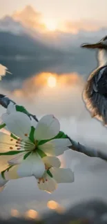 Bird on blossom branch at sunrise over calm lake.