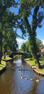 Serene canal with ducks swimming under blue sky and green trees.