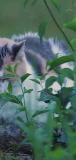 A peaceful cat nestled among green leaves in a natural setting.