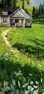 A charming house surrounded by lush green fields and a forested backdrop.