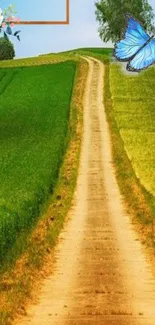 Serene country path with butterfly and lush green fields.