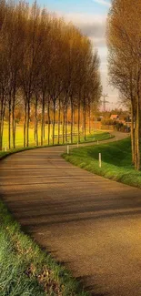 Serene country road lined with trees and green fields.