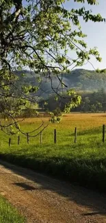 Scenic country road with lush green fields and hills.