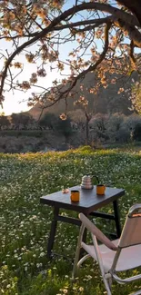 Tranquil spring countryside landscape with blossoms and sunlight.