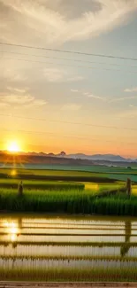 Sunset over serene green fields reflecting on water.