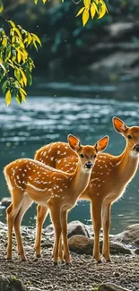 Two serene deer by a calm lake