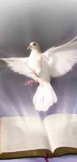 Mobile wallpaper of a white dove above an open book.