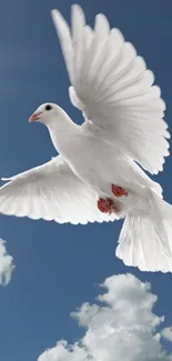 White dove soaring in a clear blue sky.