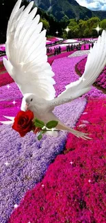 White dove with red rose in vibrant wildflowers and mountains.