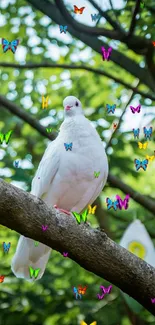 White dove perched on a tree branch amid vibrant green leaves.