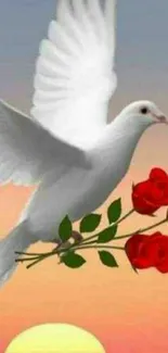 Dove with red roses flying across a sunset sky.