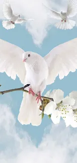 Three white doves flying over a blue heart-shaped sky with cherry blossoms.