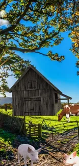 Farmhouse with cows and pigs under blue sky and sunshine.