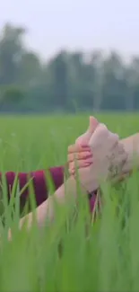 Handshake amidst lush green field background