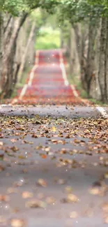 Peaceful forest pathway with trees and fallen leaves.