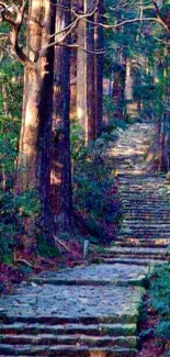 Scenic forest path with stone steps and lush greenery.