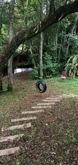 Tranquil forest playground with tire swing.