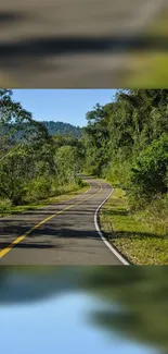 A winding road through a lush green forest, perfect for a calming mobile wallpaper.