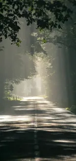 Sunlit forest road mobile wallpaper with tree canopy and sun rays.