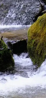 Tranquil forest stream with mossy rocks and flowing water