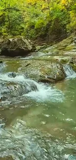 Tranquil forest stream with lush greenery and gentle cascades.