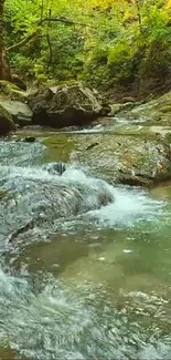 Tranquil forest stream with lush greenery and flowing water