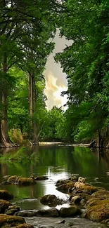 Serene forest stream with lush green trees reflecting on water.