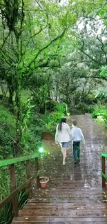 Two people walking on a wooden path in a lush green forest.