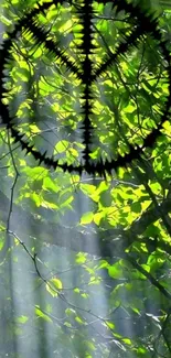 Forest leaves with peace symbol in sunlight.