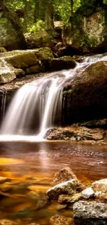 Peaceful forest waterfall amidst rocks and greenery.