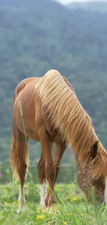 A chestnut horse grazes peacefully in a lush green pasture with mountains in the background.