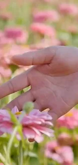 Hand gently touching pink flowers in a peaceful natural setting.