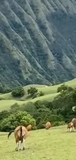 Green hills with grazing cows in peaceful landscape.