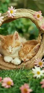 Two cute kittens nestled in a log with pink daisies in a lush green garden.