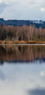 Tranquil lake reflecting sky and forest in serene mobile wallpaper.