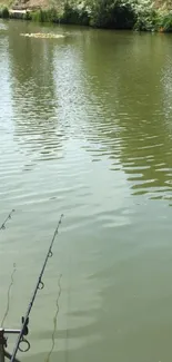 Peaceful lakeside fishing scene with rods in water