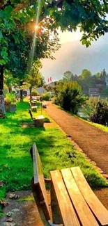 Tranquil lakeside park with green trees and sunlit path.